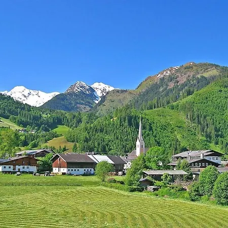 Hollersbach - Osb03101d-dya